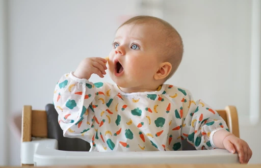 Babyfood: Raspberry & Quinoa Breakfast Bites